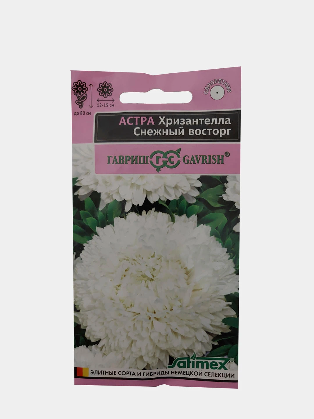 Астра Хризантелла Купить Семена