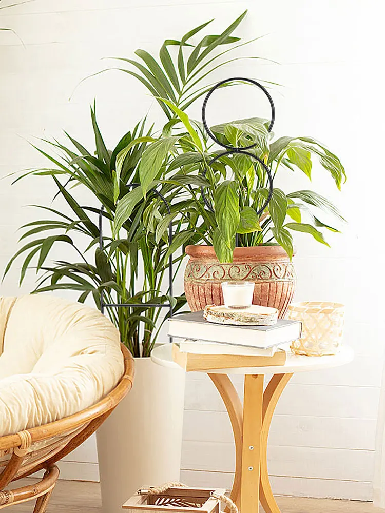 Набор из 4 металлических решеток для вьющихся растений в помещении