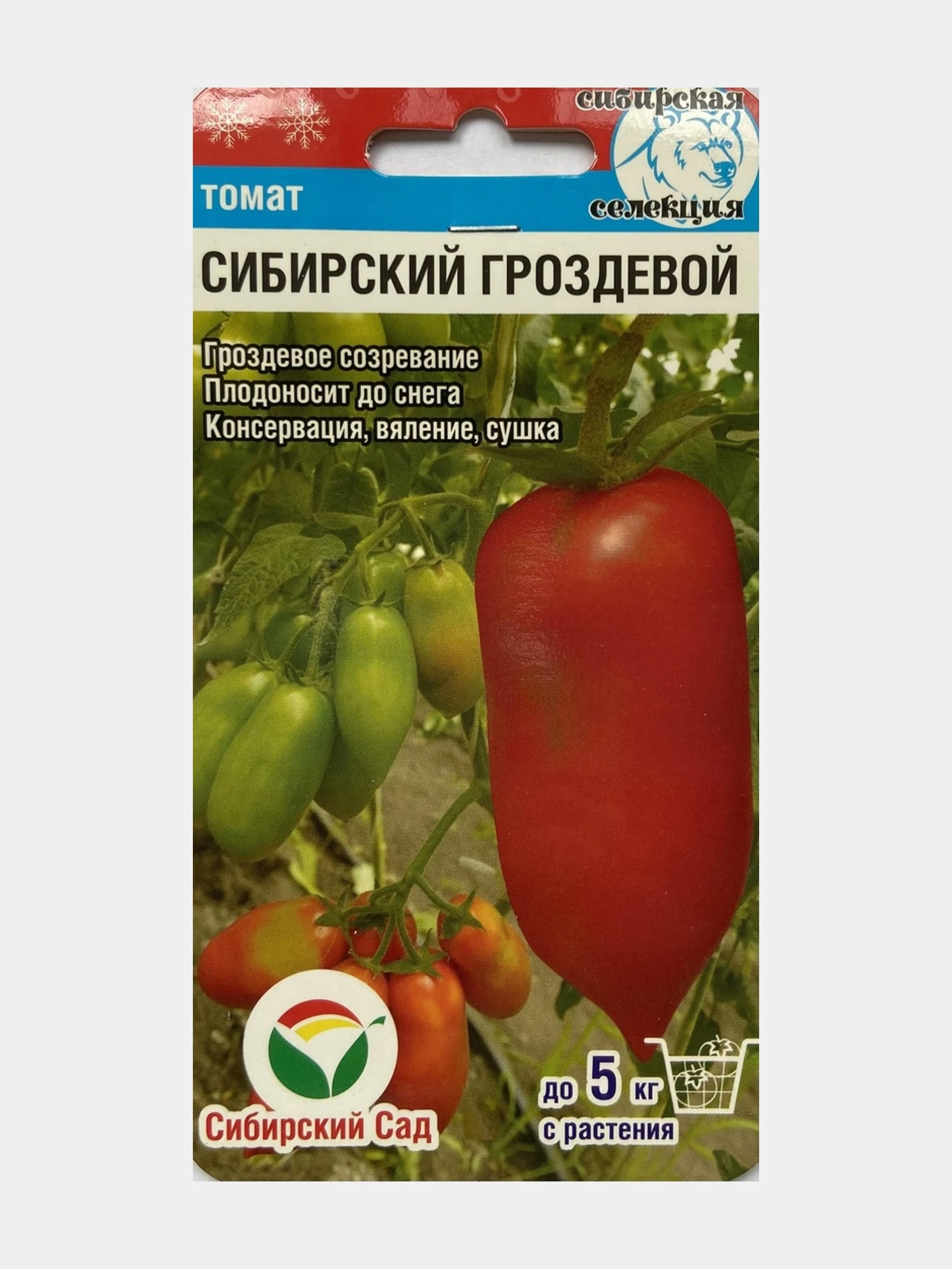 Томат гроздевой семко. Томат сибирский гроздевой. Томат сибирский гроздевой характеристика. Сорт томата французский гроздевой. Семена томат французский гроздевой.
