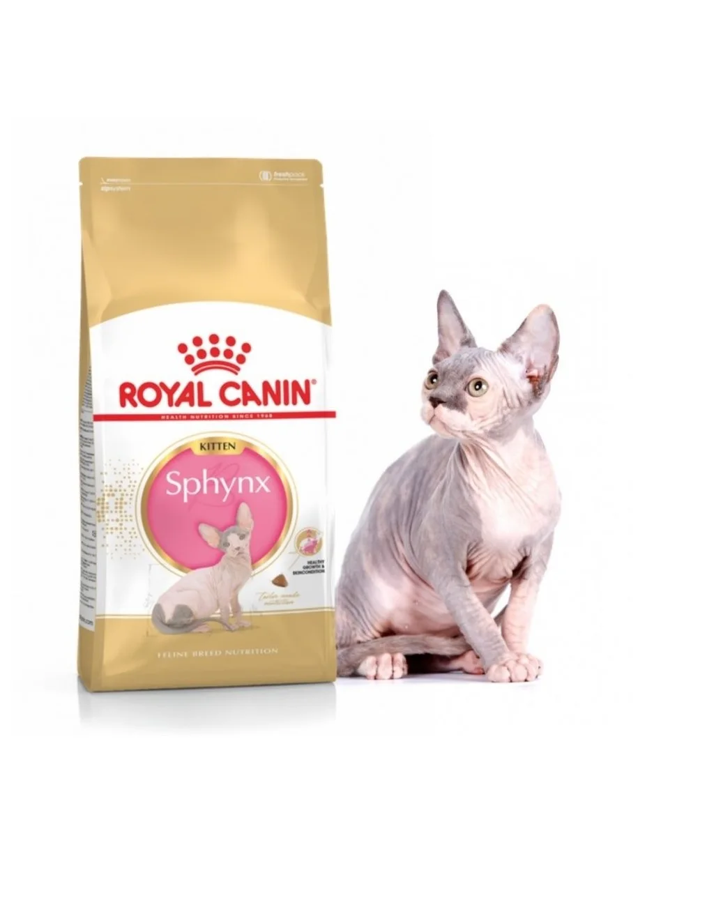 Роял канин для кошек сфинксов. Роял канин для котят сфинксов. Роял канин для котят сфинксов. Корм для кошек лысых royal canin. Какой корм сфинксу.