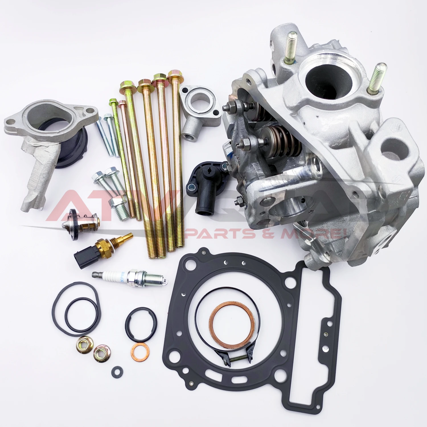 Рисунок 5 - Крышка головки цилиндра Assy для
