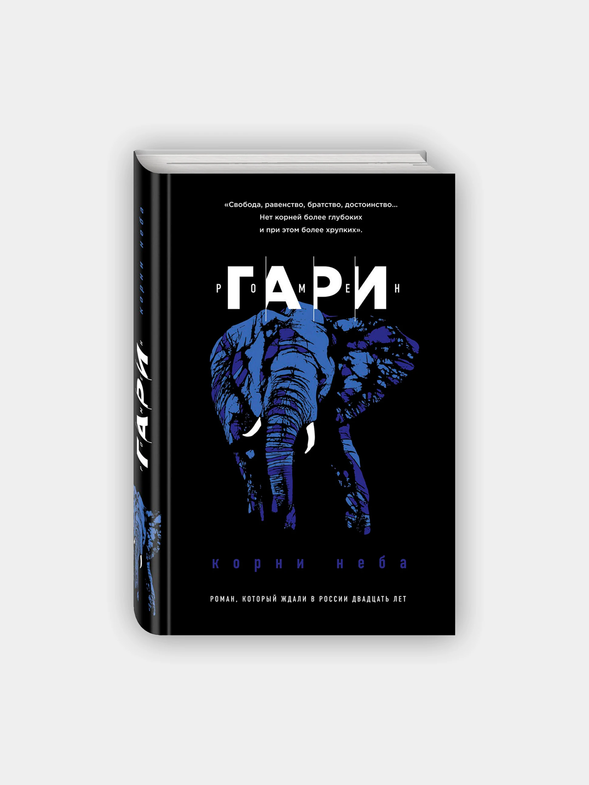 Мертвая трава. Небо весной. Дерево с корнями высокое качество. Древо жизни в славянской мифологии. Корни неба.