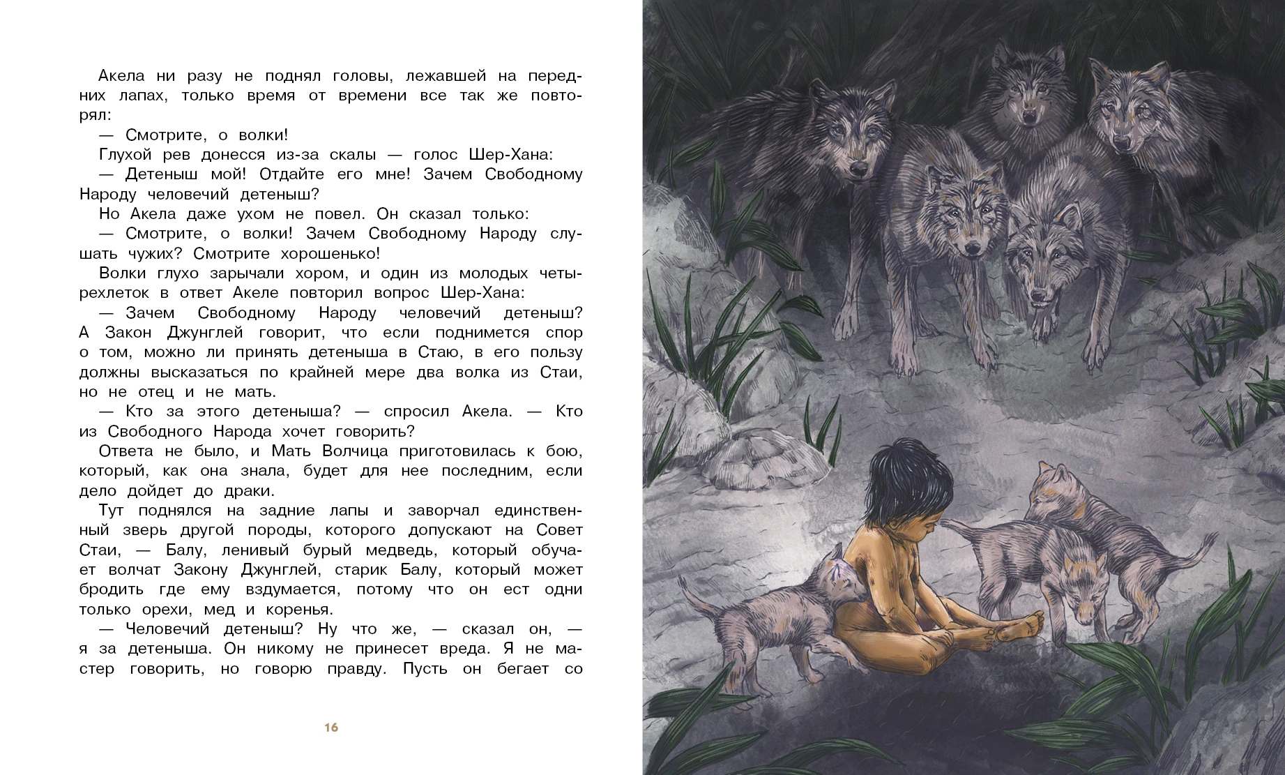 Каков закон джунглей. Закон джунглей. Книга законов джунглей. Все законы джунглей. Диафильм маугли.