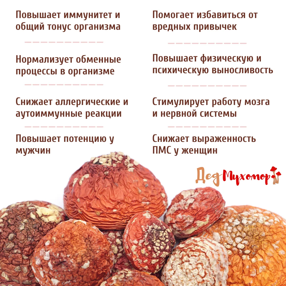 Фото Красный сушеный мухомор в капсулах для микродозинга курс на 30 дн. (высокая активность, сбор Октябрь 2022 г.) №3