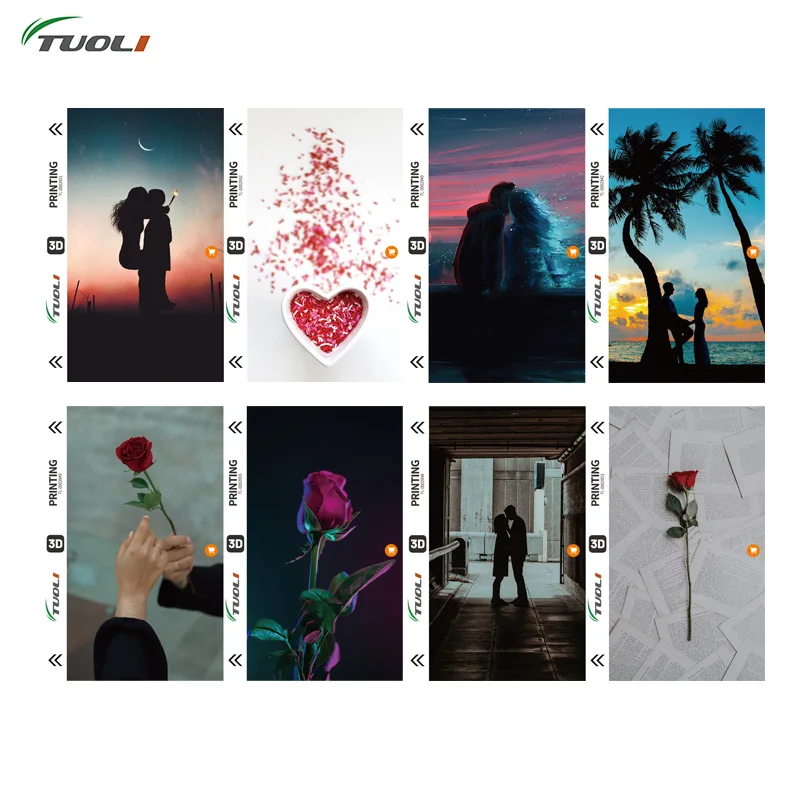 

TUOLI 3D Relief Phone Skin Mobile Back Film Sticker For iPhone 11 12 13 14 Pro Max TL-168 TL-568 TL-518 Cutting Machine Material