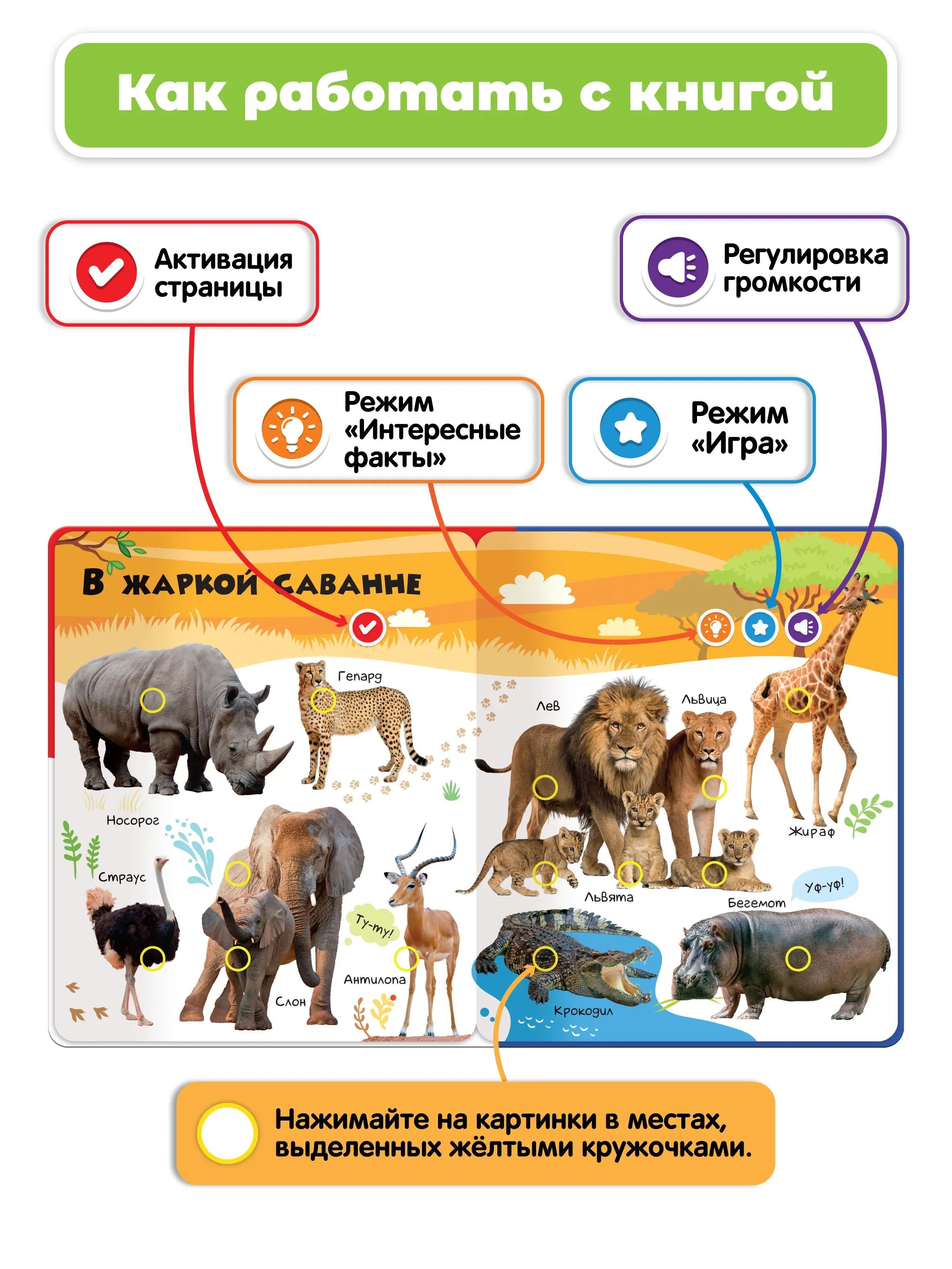 говорящая книга нажималка я и мир вокруг. книга нажималка животные. книжка нажималка berttoys. книга нажималка животные. книжки нажималки.