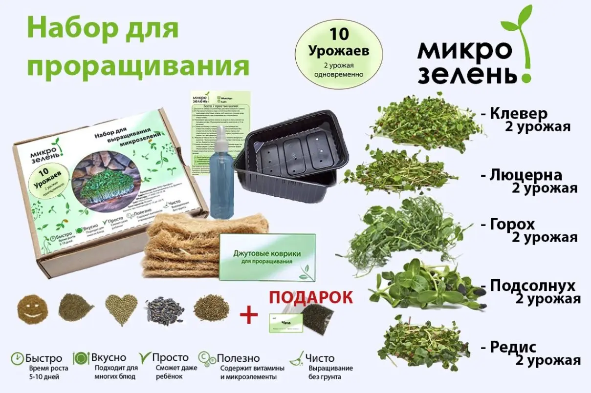 Набор для выращивания микрозелени 10 урожаев &quotMikroGreens&quot (горох люцерна клевер