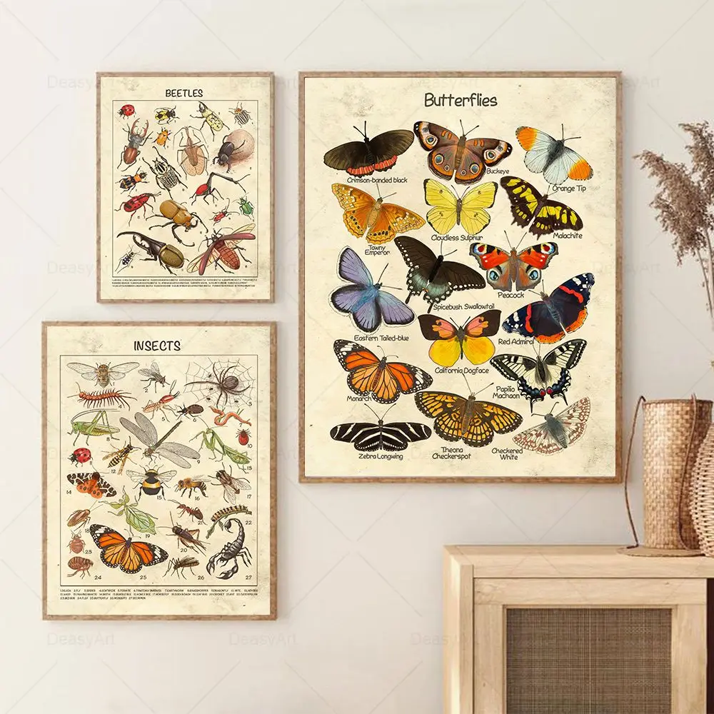 

Винтажный постер с изображением бабочек, насекомых, животных, Картина на холсте для обучения, украшение детской комнаты, домашний Настенный...