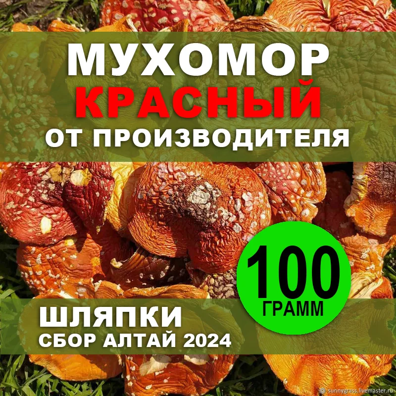 мухомор, мухоморы грибы сушеные, мухоморы микродозинг, мухомор красный ...