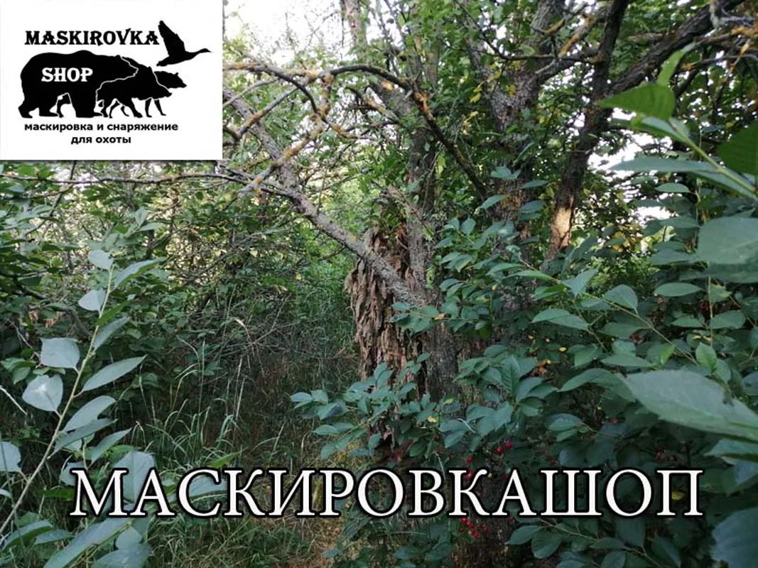 Камуфляж бундесвер вудланд. Удивительные мастера маскировки. Памятка разведчику по маскировке. Маскировка призрак. Маскировка текста.