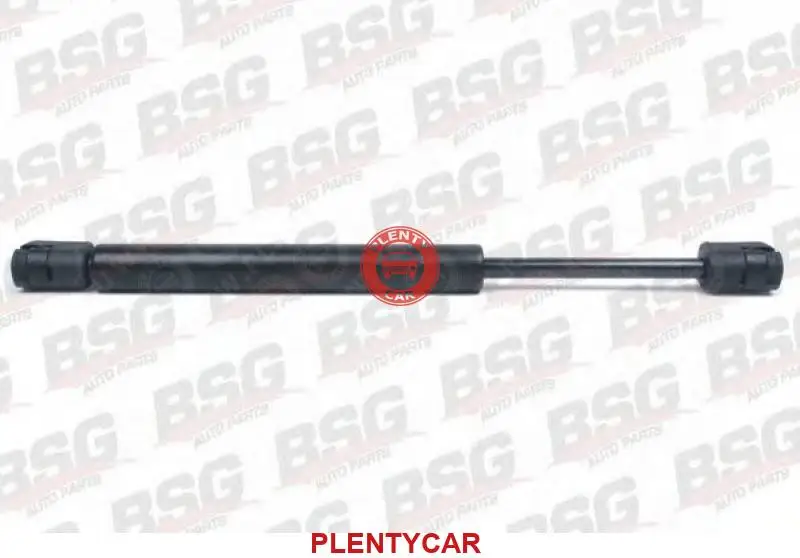 Амортизатор крышки багажника / opel vectra c (seda Bsg BSG65980007