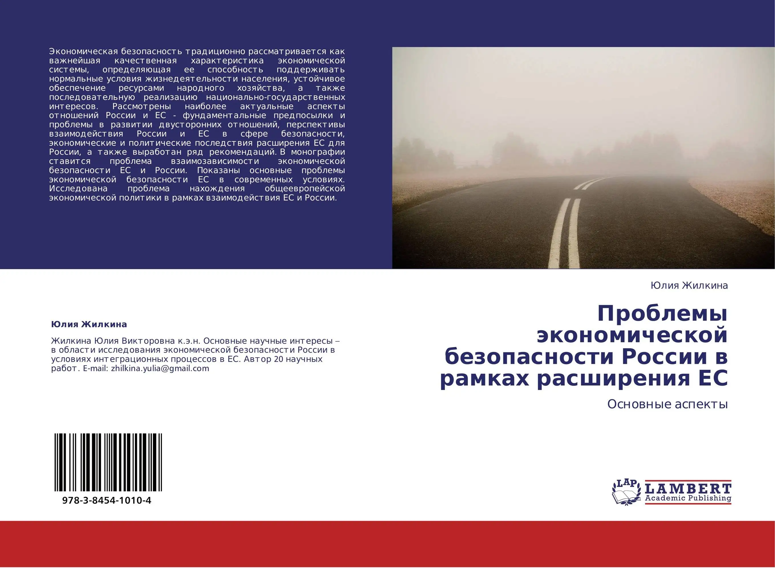 Проблемы экономической безопасности России в рамках расширения ЕС. Основные