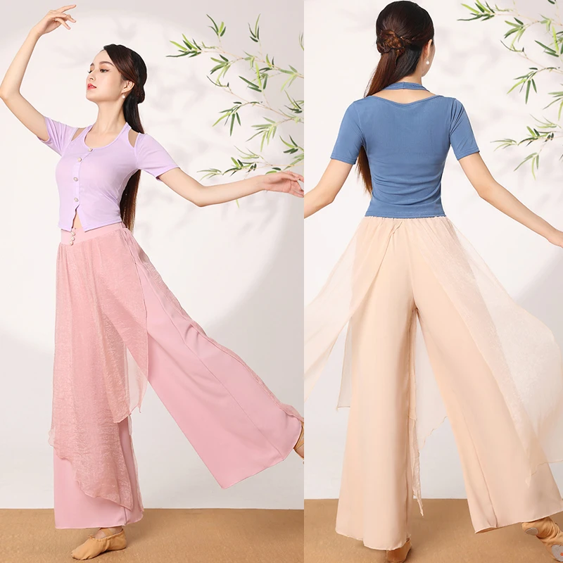 

Modern National Dance Clothes New Women Adult Latin Practice Clothing Chinese Classical Dance Training Short Sleeve Tops DQL7318