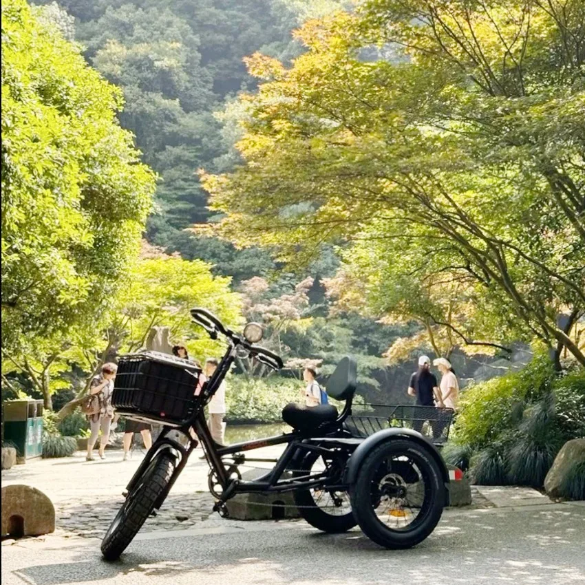 Электрический трехколесный велосипед 20 дюймов многофункциональный для длинных