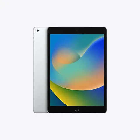 Планшет Apple iPad 10.2 2021 Wi-Fi 256GB Silver