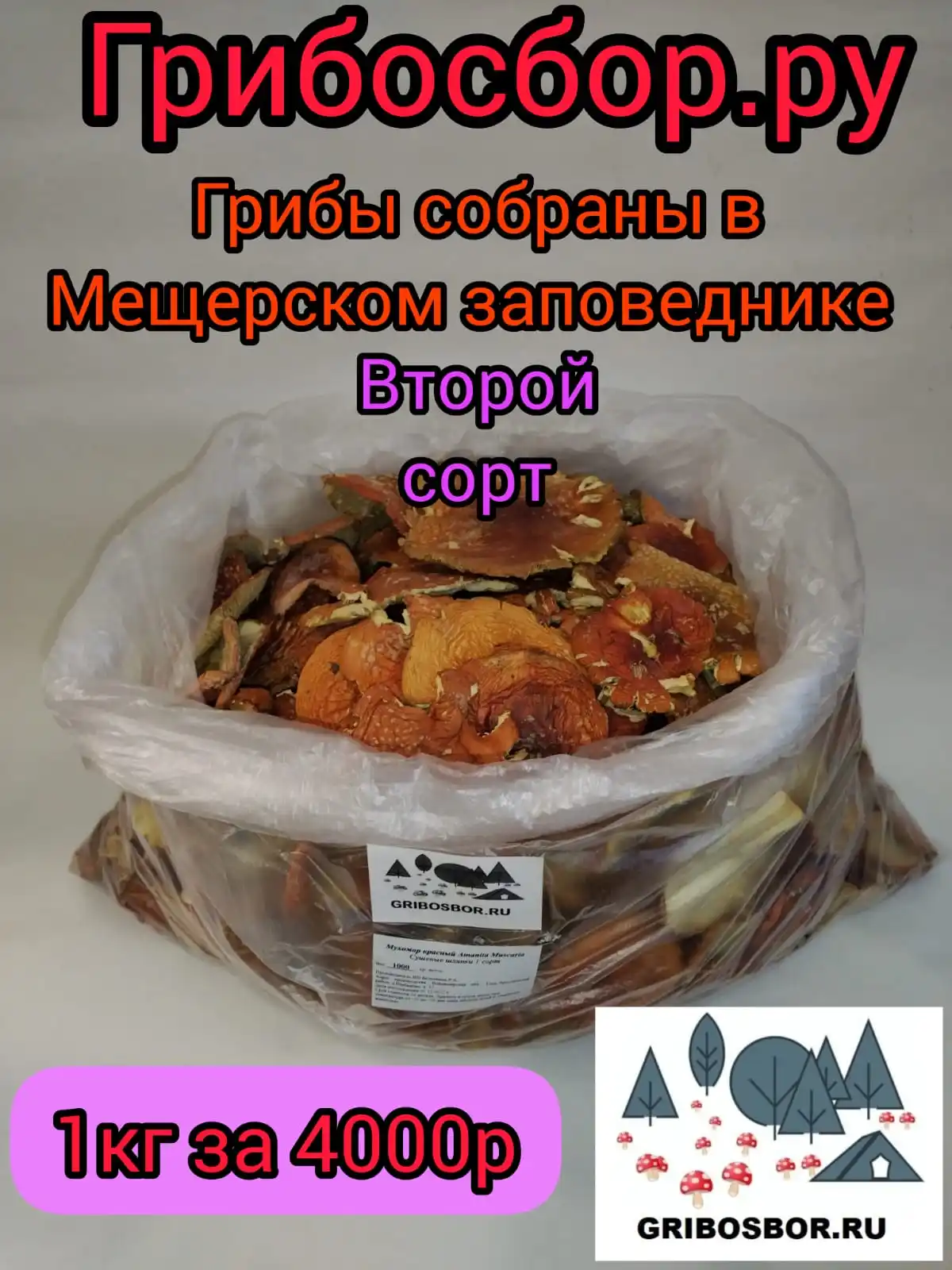 Мухомор красный сушеный, с песком 1кг