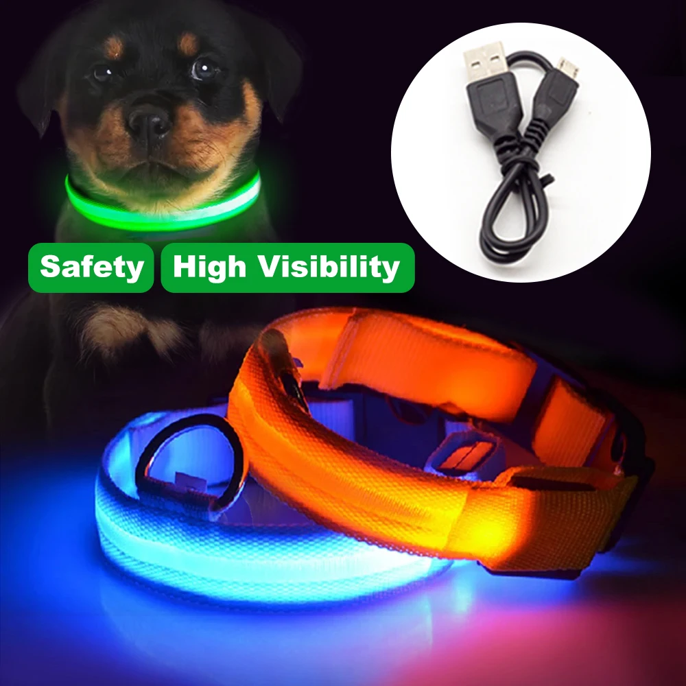 

USB Dog Led Collar Battery Perro Anti-Lost/Avoid Car Accident Luminoso Safety Personalizado Pet Chien Product Glow In Dark