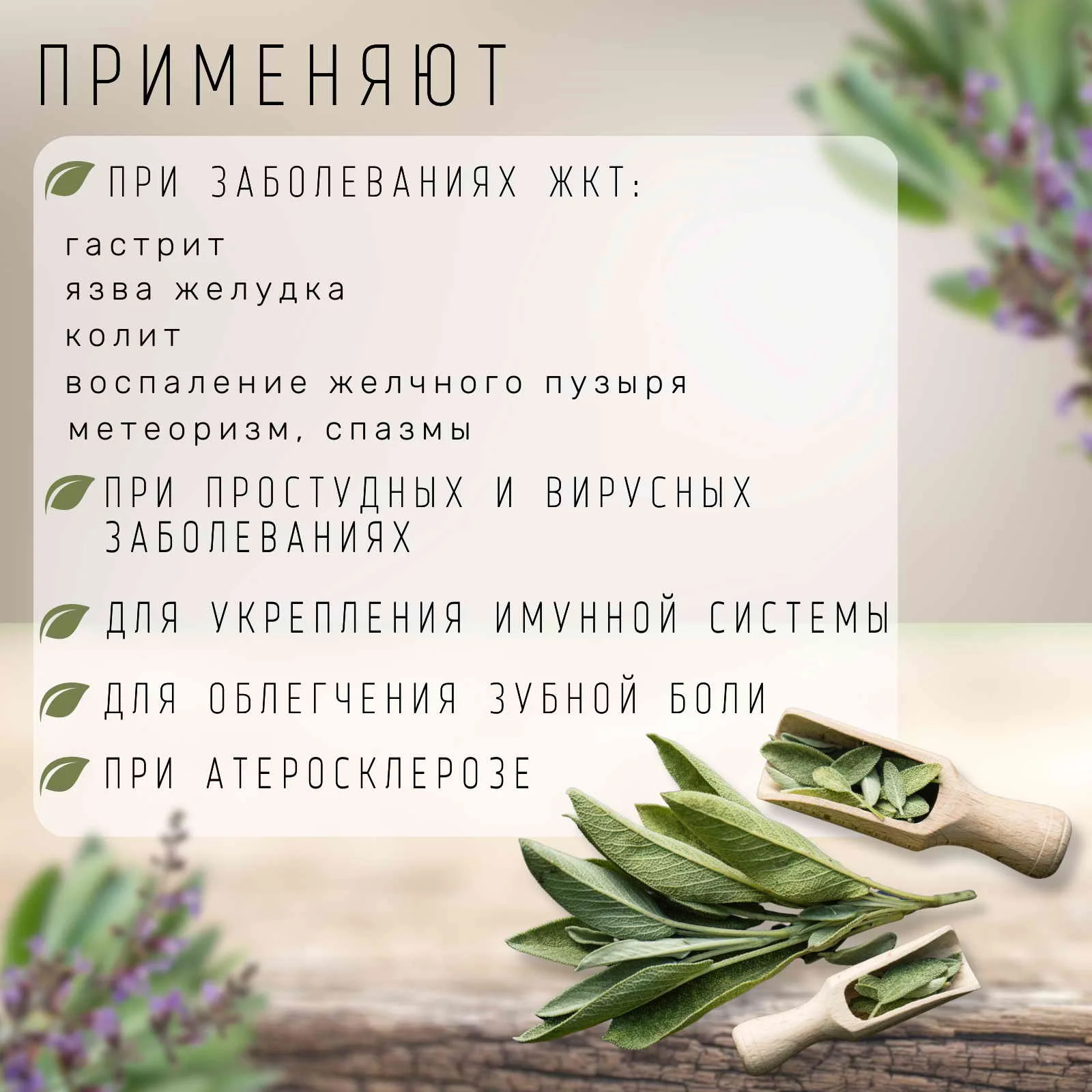 Рисунок 2 - Шалфей лекарственный сушеный трава