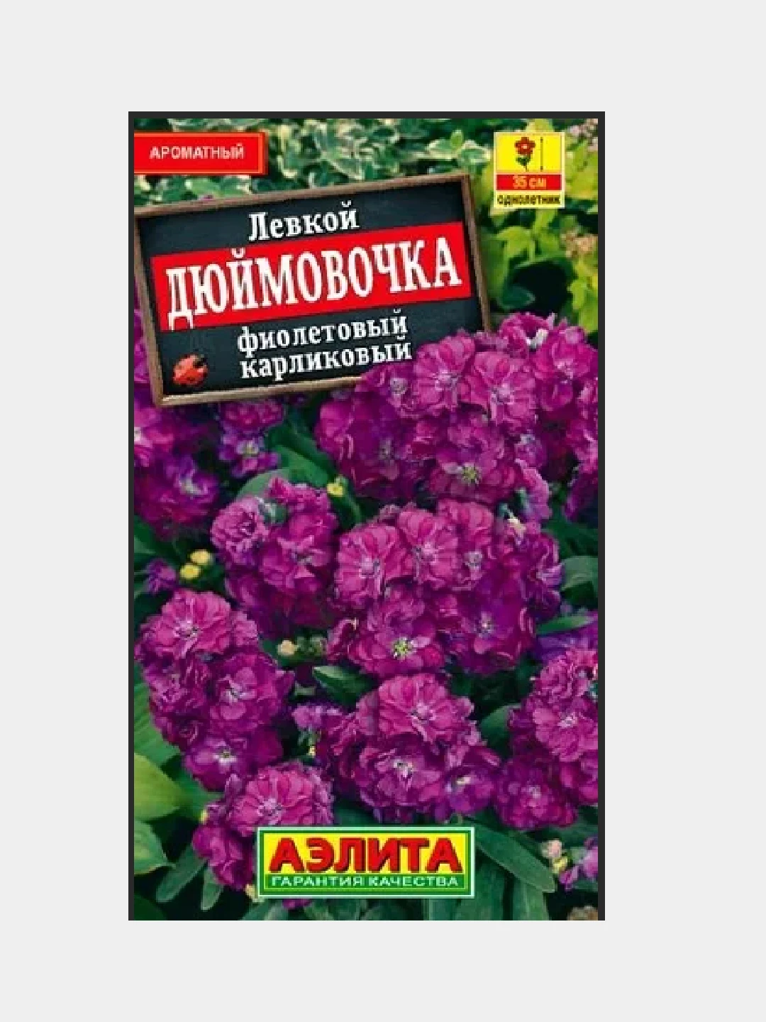 левкой карликовый дюймовочка. левкой дюймовочка. левкой карликовый дюймовочка. левкой дюймовочка. левкой синдерелла ред.