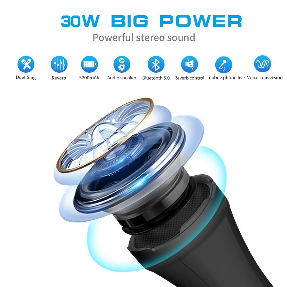 Kup Lewinner L-699 Profesjonalny Mikrofon Karaoke Bezprzewodowy Głośnik Przenośny Mikrofon Bluetooth Do Obsługi Telefonu Nagrywanie TF Play