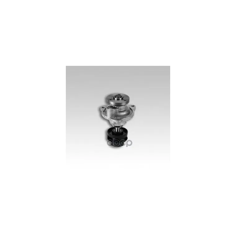 Помпа, Водяной Насос Ford Focus / Fiesta / Ka Hepu P254 1229571 Ford Focus / Fiesta / Ka Hepu арт. P254