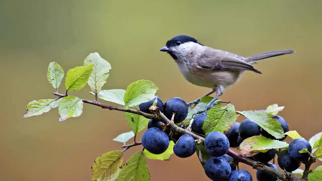 LinxOne картина на экокоже  