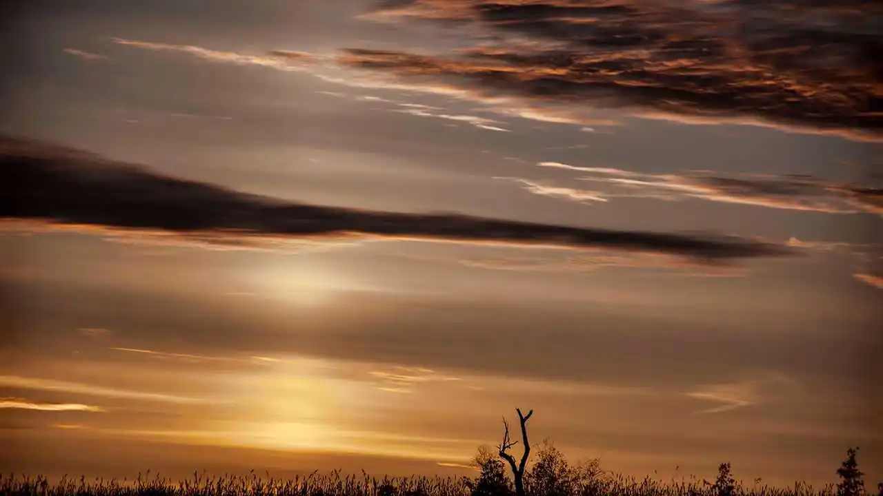 LinxOne картина на холсте  