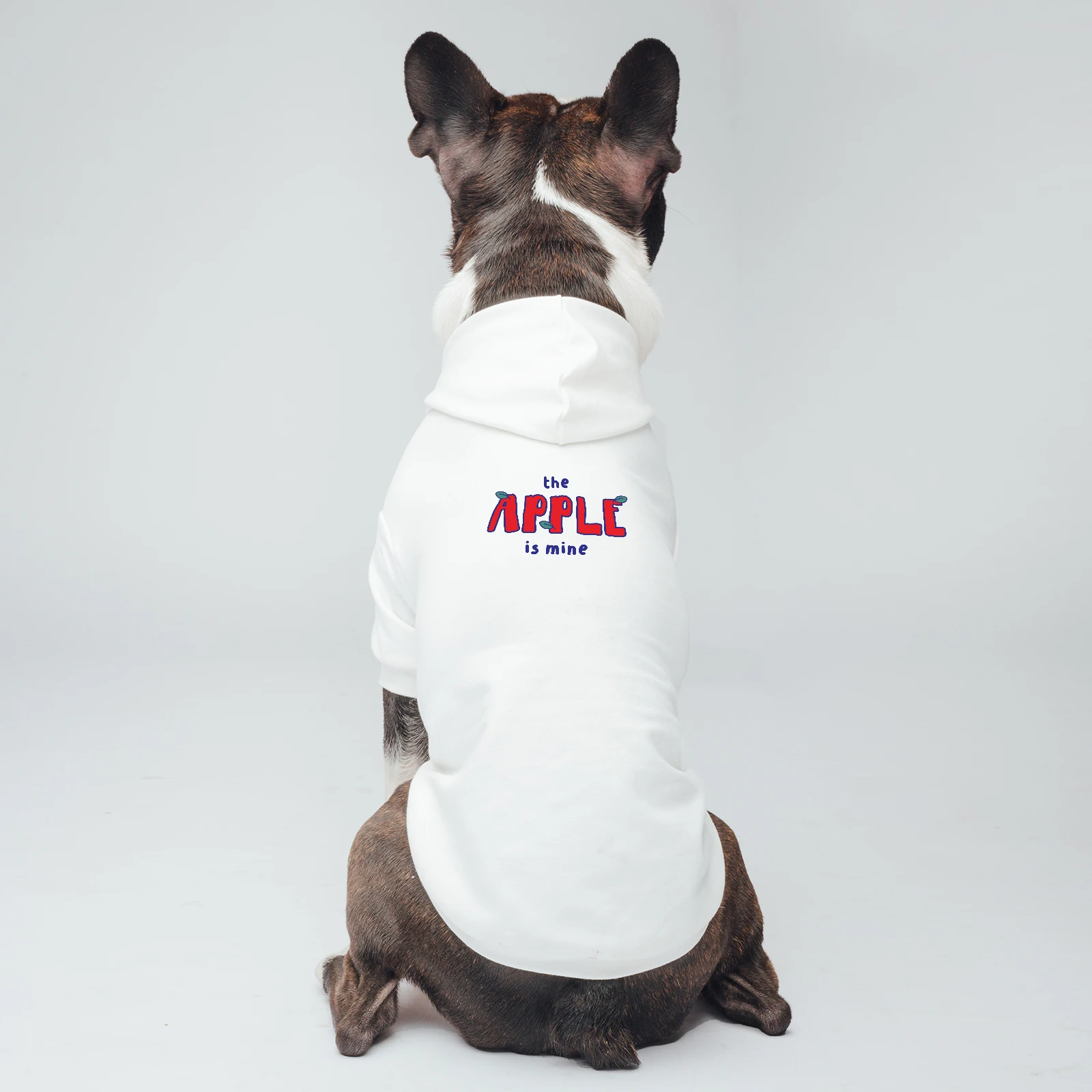 

Funny Cute Classics Letter Words ‘The Apple is Mine’ Printed Pet Hoodies, for Small Medium Large Big Dogs Cats