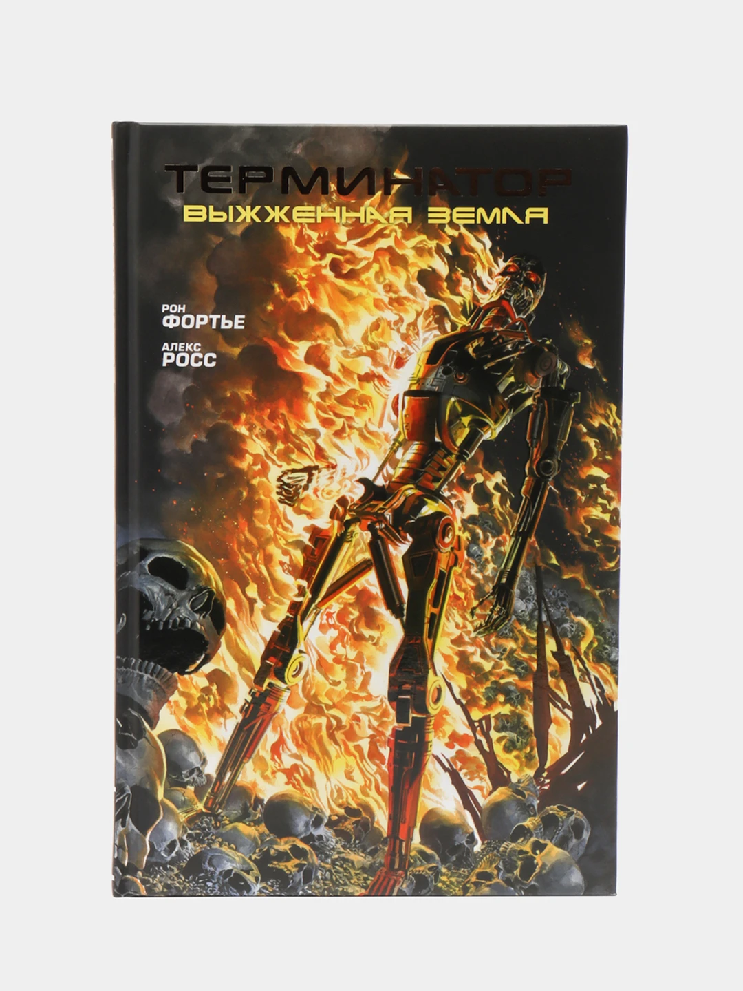 Alex ross terminator. конторович пепельный рассвет. ниже ада метро 2033 андрей гребенщиков. выжженная земля книга. конторович александр - пепельный рассвет.