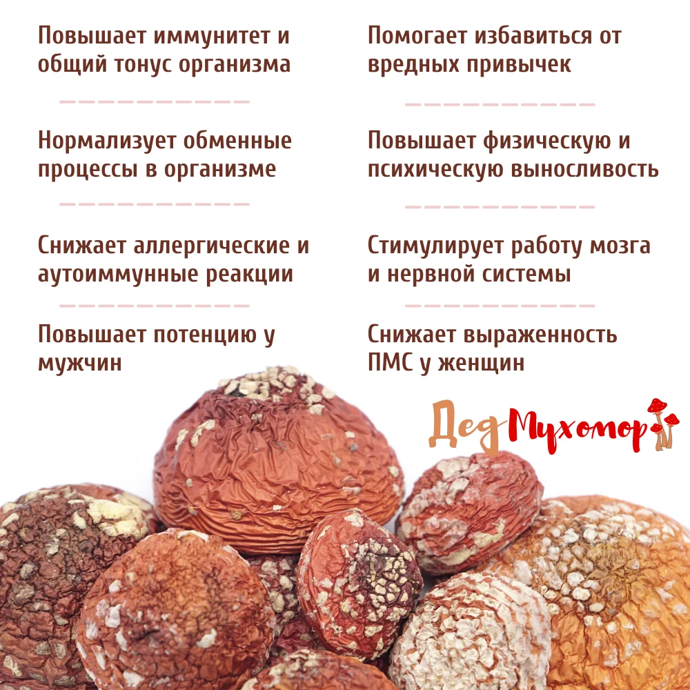Фото Закрытые молодые шляпки мухомора красного сушёного для микродозинга 360 грамм (свежий урожай Октябрь 2022) №3