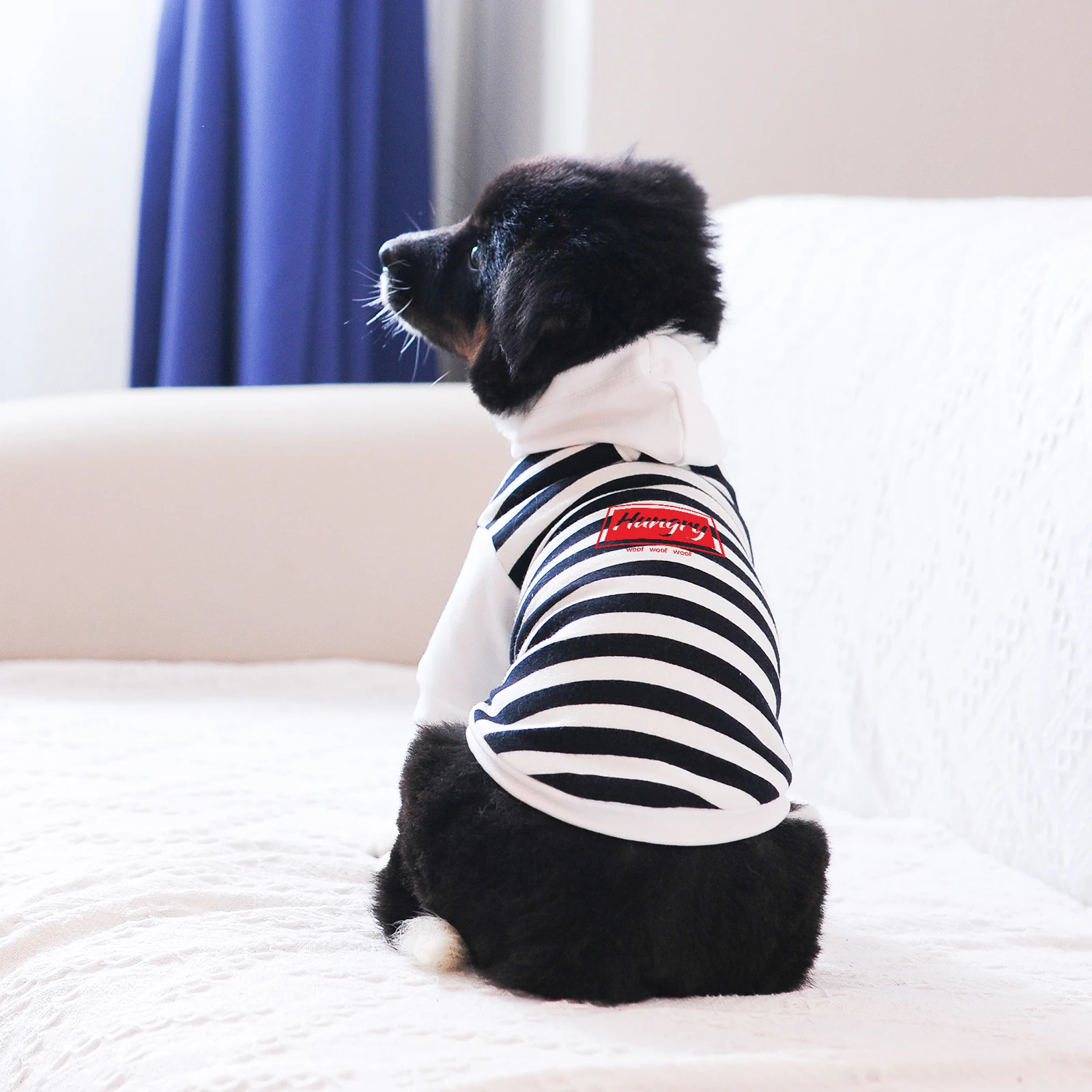 

Dog Hoodie Clothes for Small Medium Large Chihuahua Yorkshire Terrier Pet with Letter and Printed, Stripe and White
