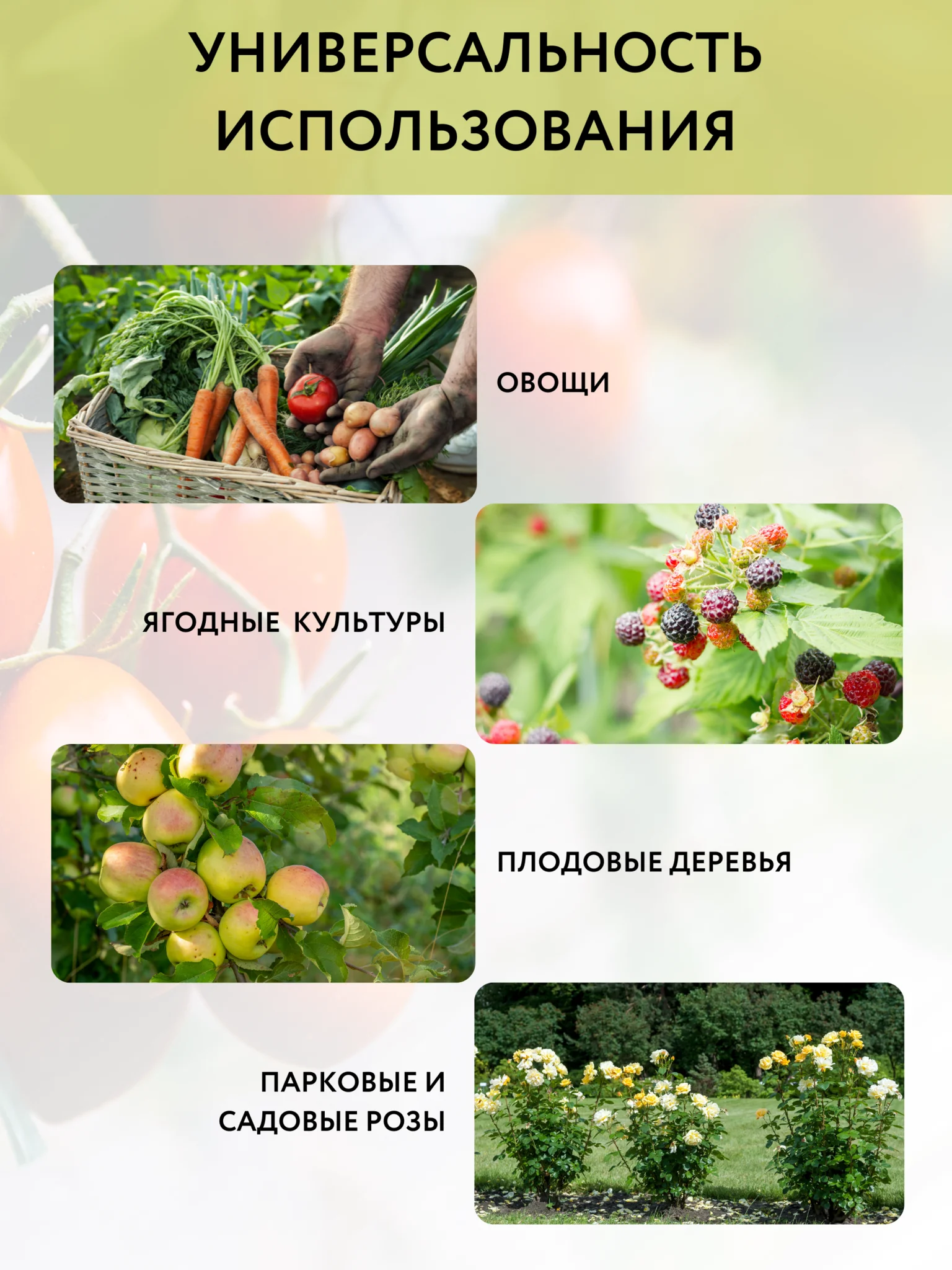 Трос металлополимерный 2мм. Эффективные микроорганизмы препараты. Благодатный сад интернет-магазин растений. Рыхлитель орлиная лапа. Благодатное земледелие интернет магазин каталог с ценами.