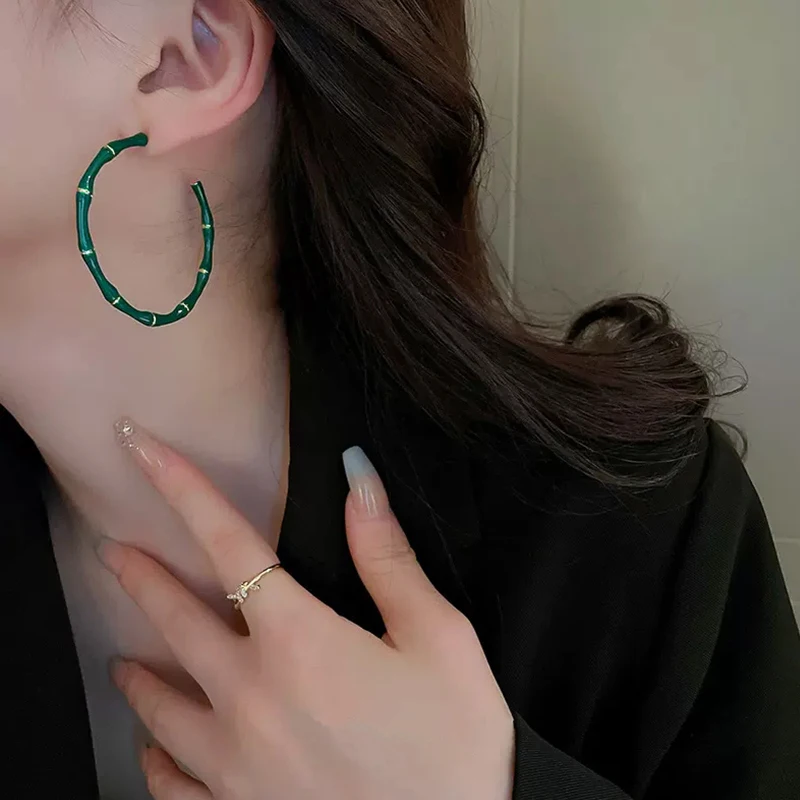 Resin Hollow Geometric Luxury Hook Earrings Metal for Women Fashion  Jewelry Party Gift