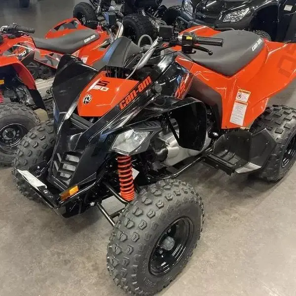 

Доставка от двери до двери 2022 Can-Am DS 250