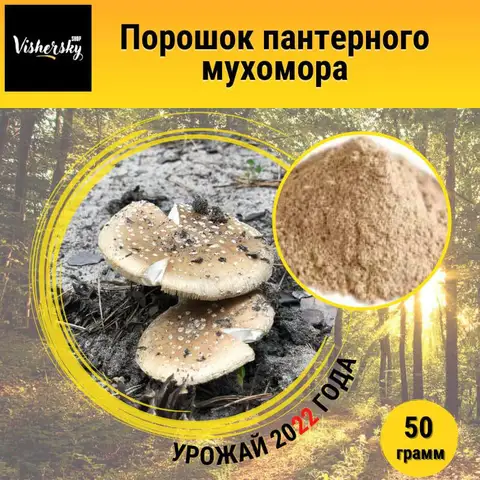 порошок мухомора пантерный 50 грамм порошок для заваривания.СВЕЖИЙ СБОР 2023 года - изображение
