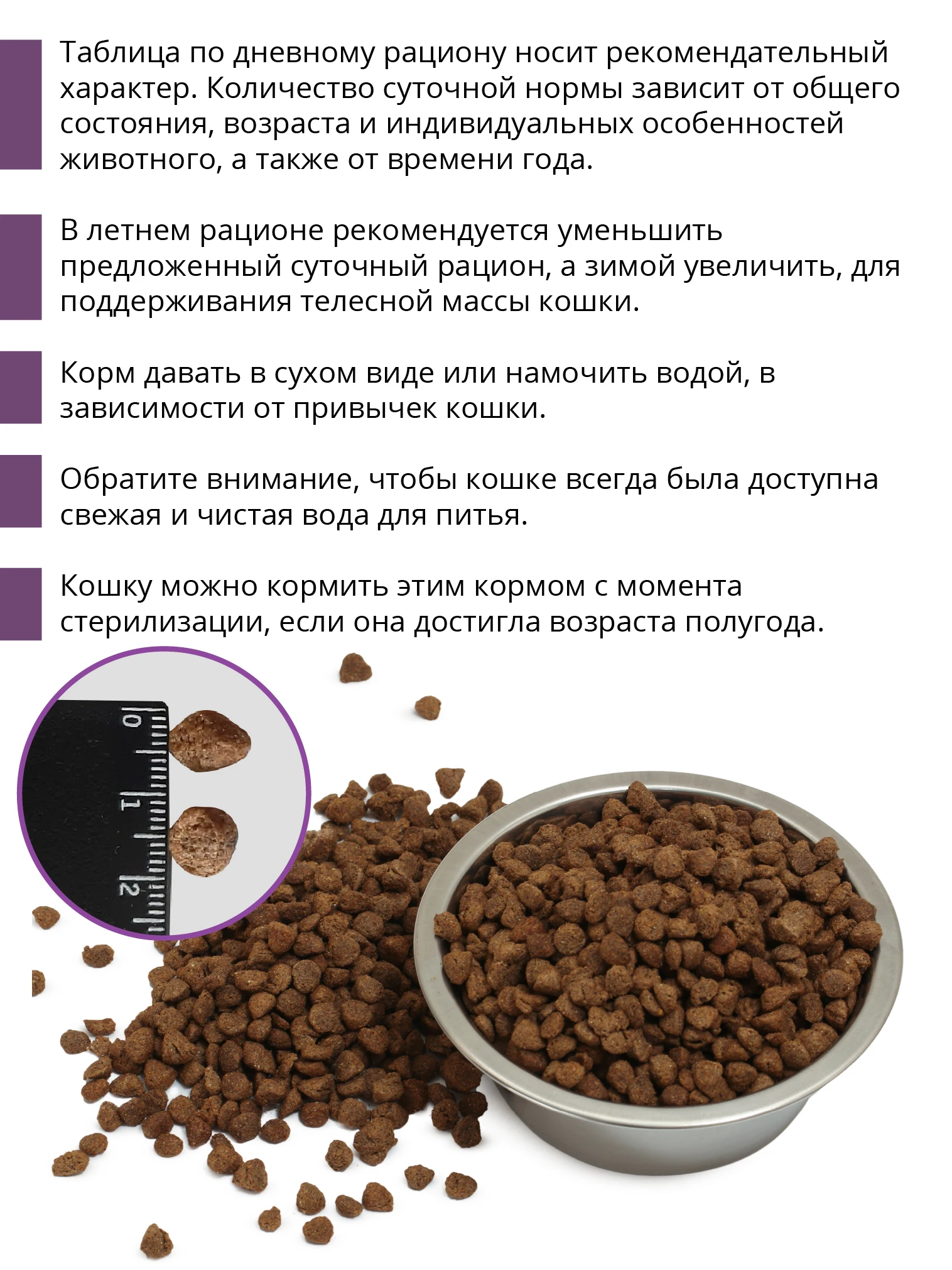 Купить Корм Сухой Для Кошек Gina