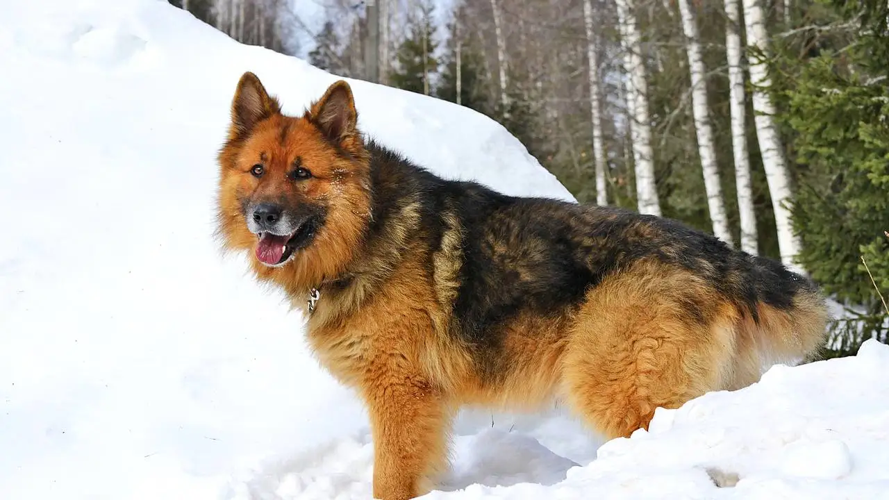 LinxOne постер на экокоже  