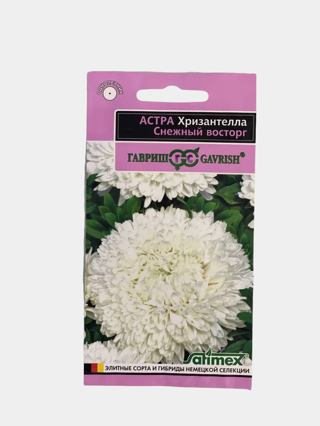 Астра Хризантелла Купить Семена