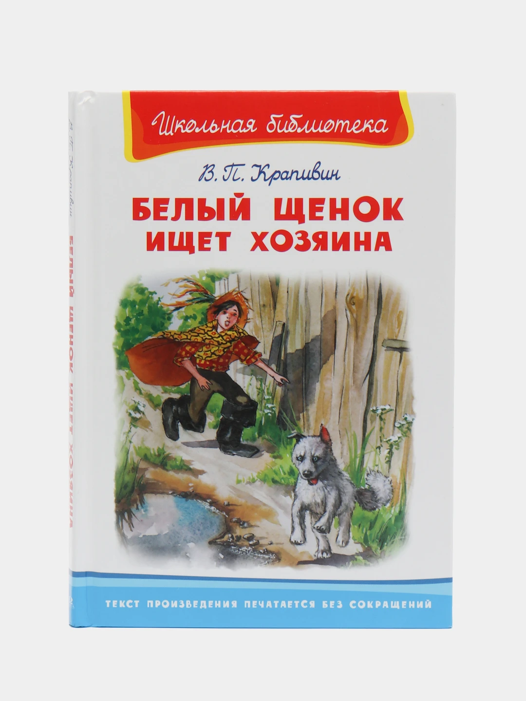 В крапивина белый щенок ищет хозяина. В крапивина белый щенок ищет хозяина. Книга белый щенок ищет хозяина. В п крапивин белый щенок ищет хозяина читательский дневник. В крапивина белый щенок ищет хозяина.