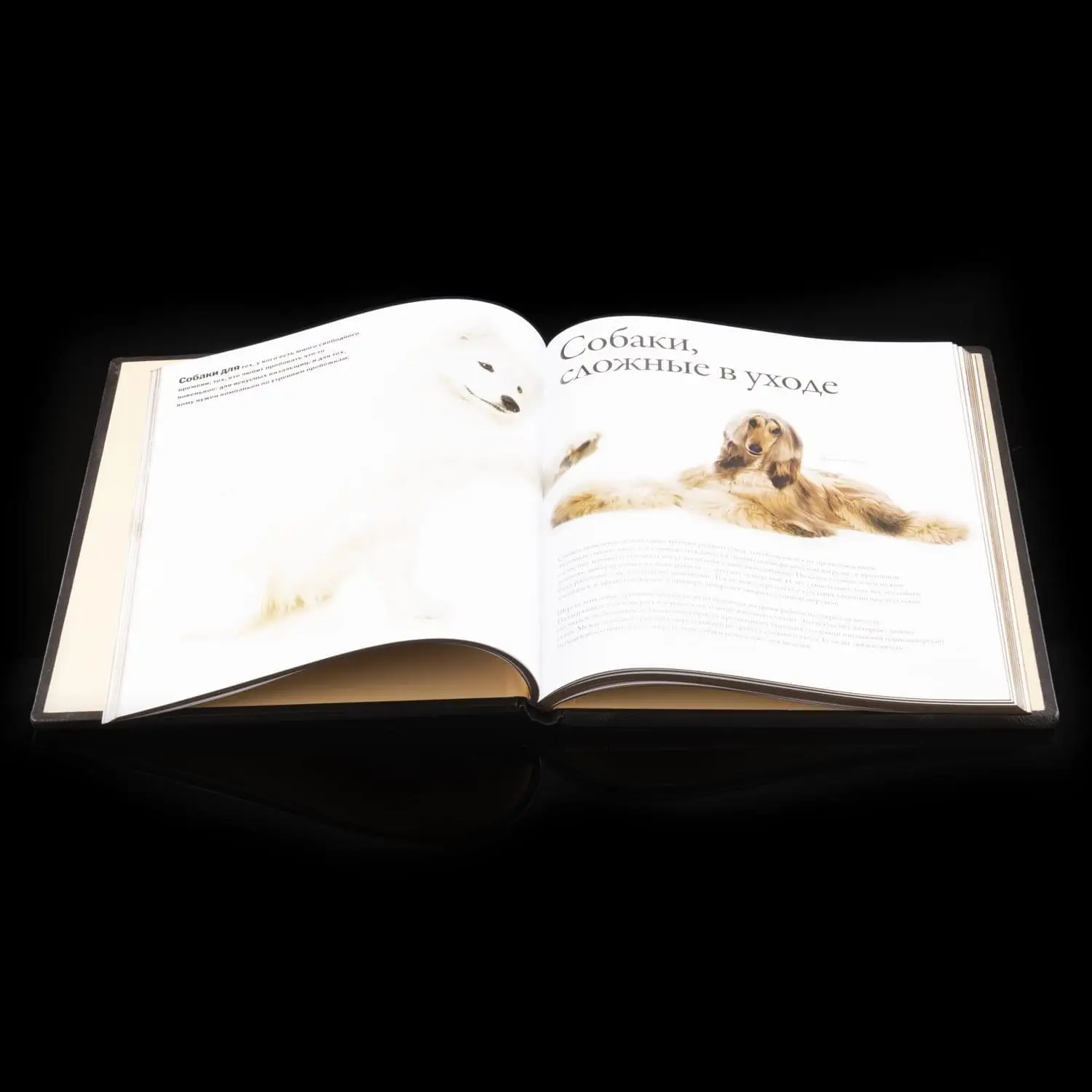 Рисунок 4 - Книга подарочная "Все породы собак"