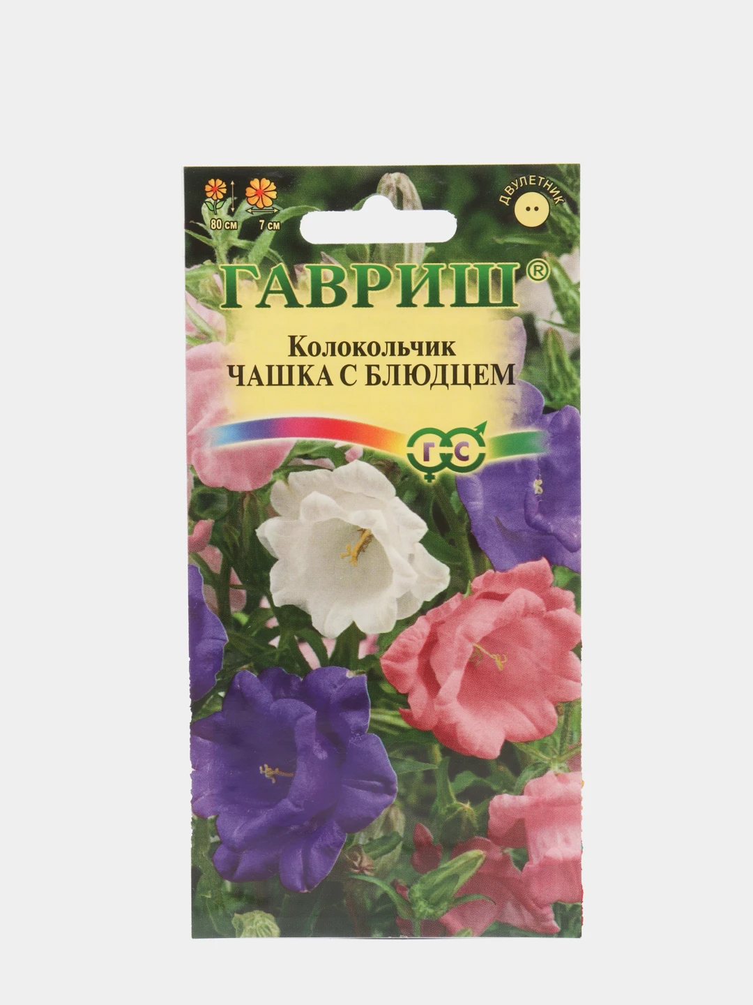Кампанула Семена Купить В Интернет Магазине