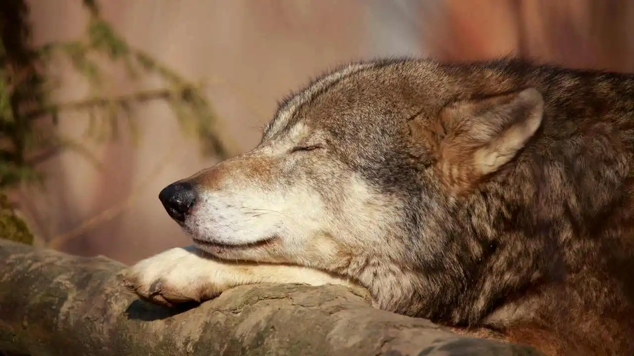 LinxOne картина на экокоже  