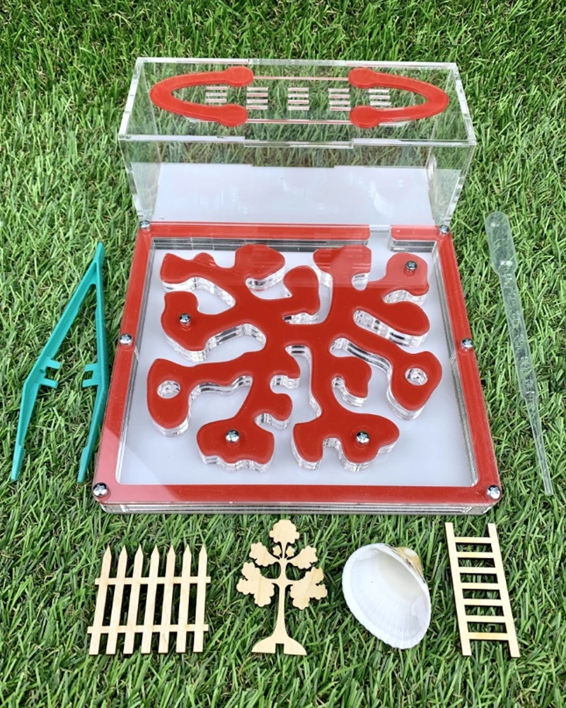 Муравьиная ферма Старт/для муравьев/Формикарий/Размер 21х16х7 см