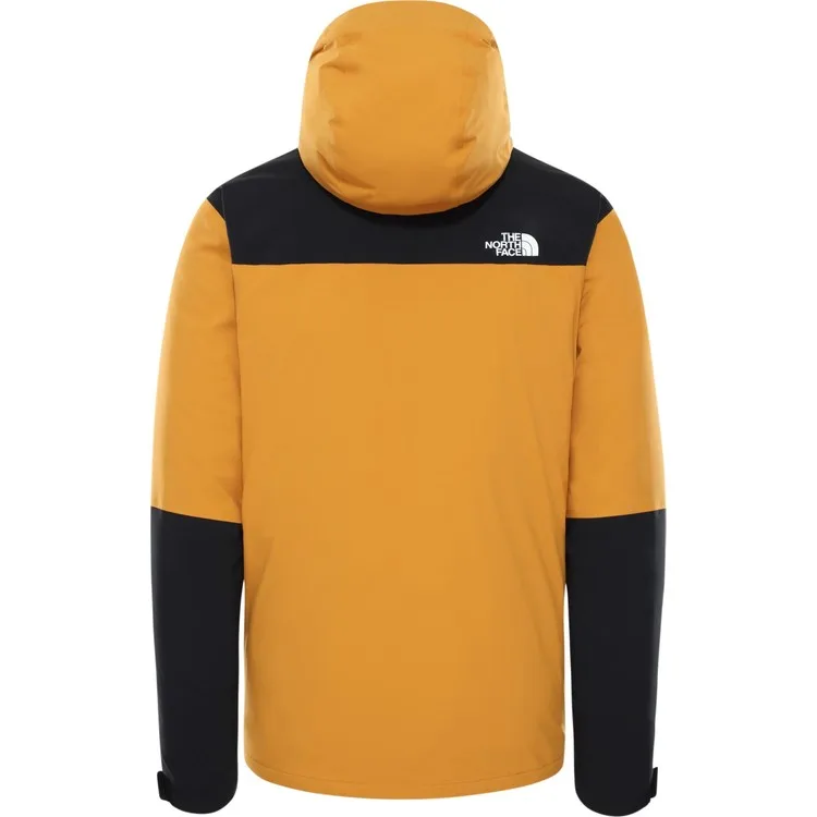 Рисунок 5 - Мужская куртка The North Face Mountain