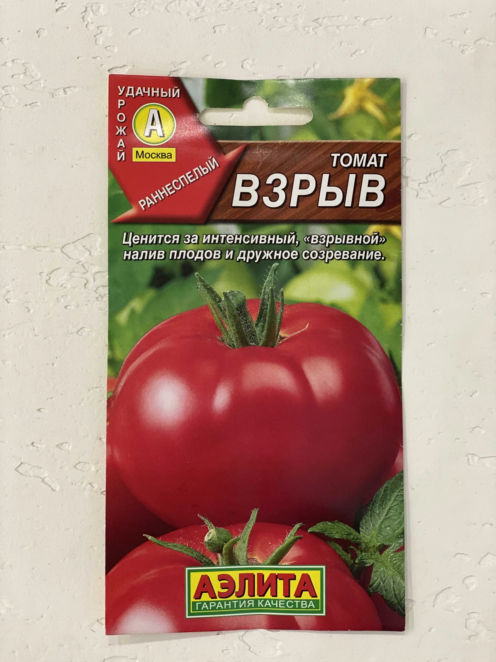 Сорт Томатов Санек Фото И Характеристики