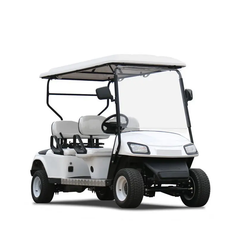 

HOT SALES CarT Golf Car Buggy