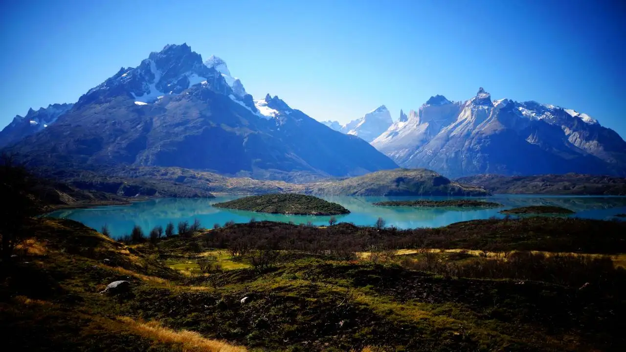 LinxOne картина на экокоже  