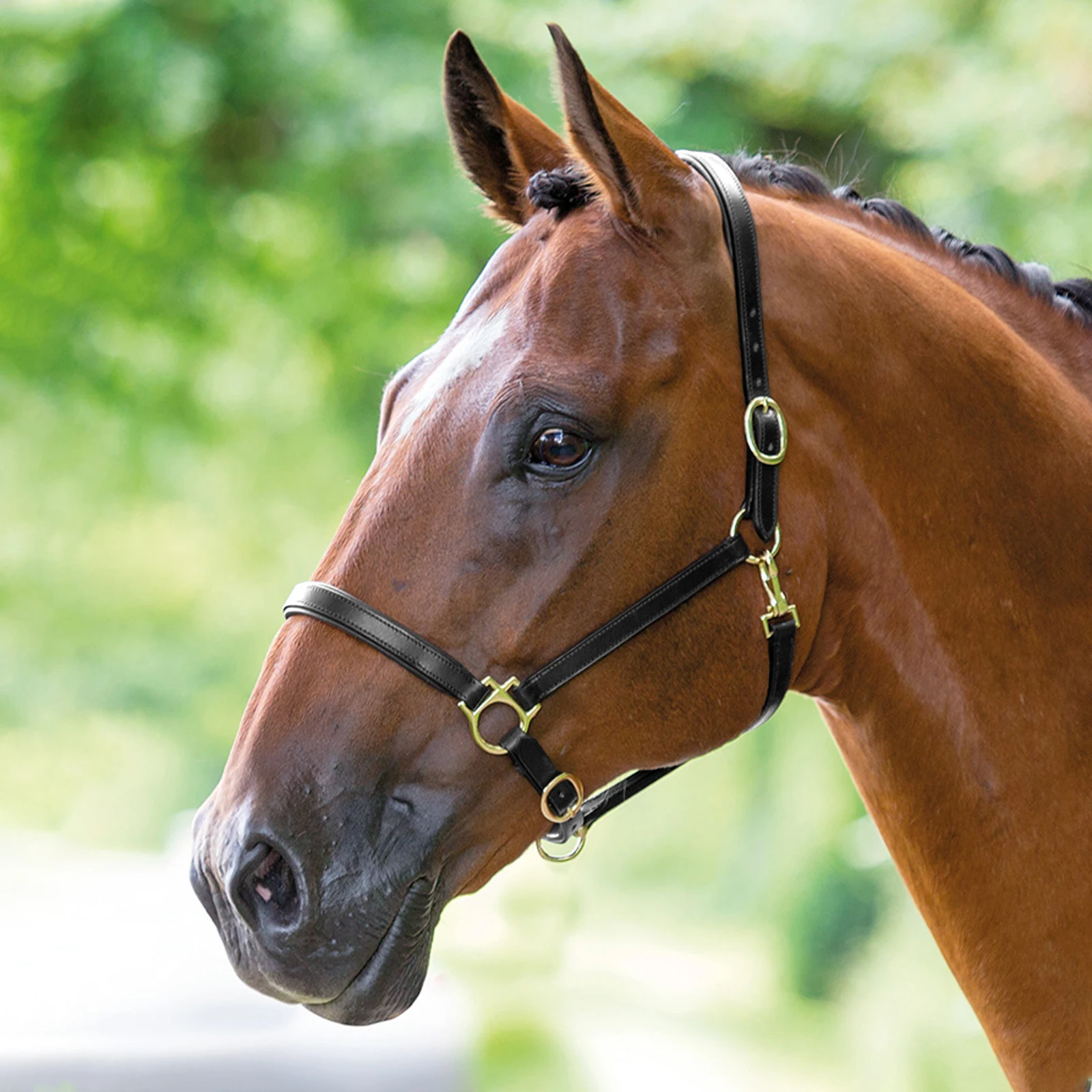 SHIRES BRIDLEWAY Недоуздок для лошади кожаный, FULL, чёрный ...
