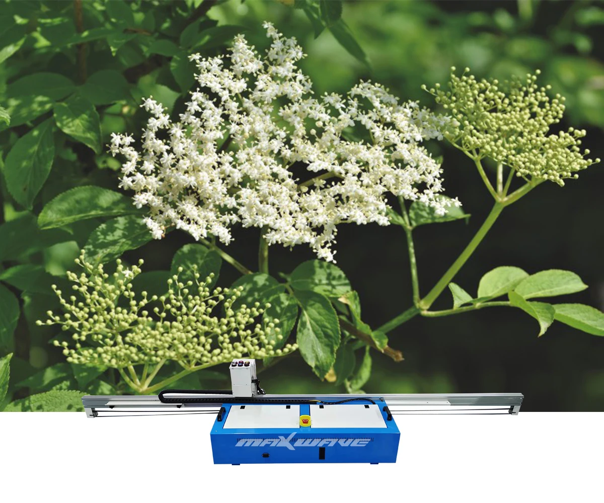 

Maxwave New Arrival Home Decoration Uv Floor Wall All-In-One Printing Machine
