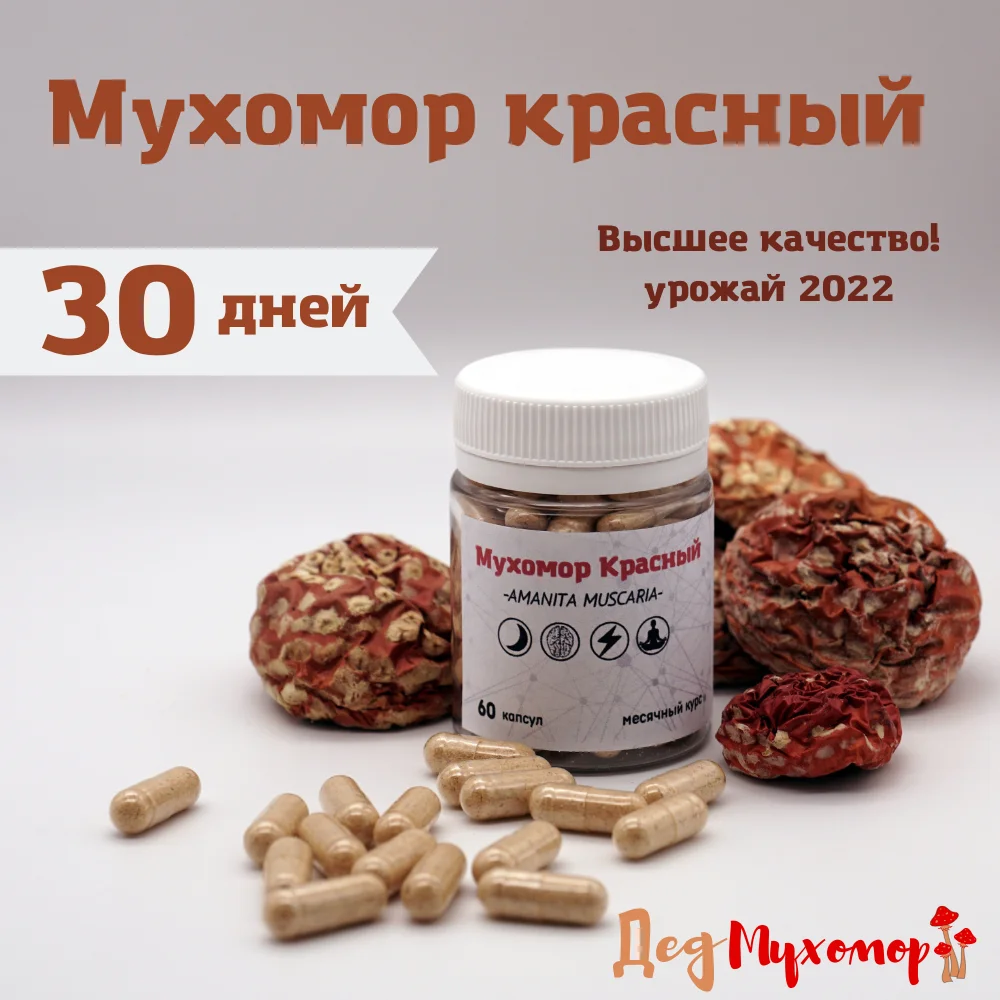 Фото Красный сушеный мухомор в капсулах для микродозинга курс на 30 дн. (высокая активность, сбор Октябрь 2022 г.) №1